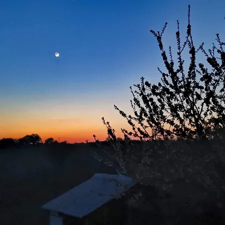 Mimosa Dom wakacyjny *