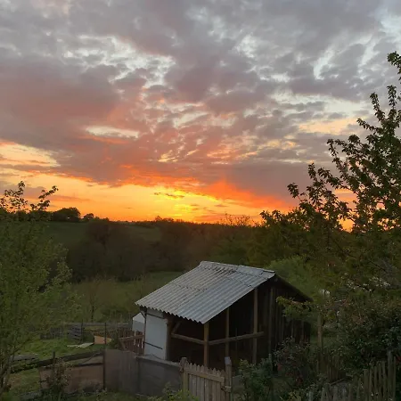 Dom wakacyjny Mimosa *