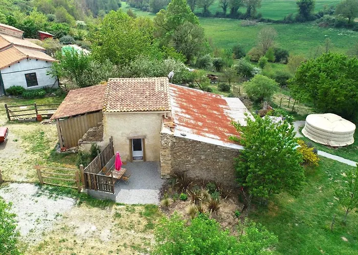 Mimosa * Saint-Florent-des-Bois