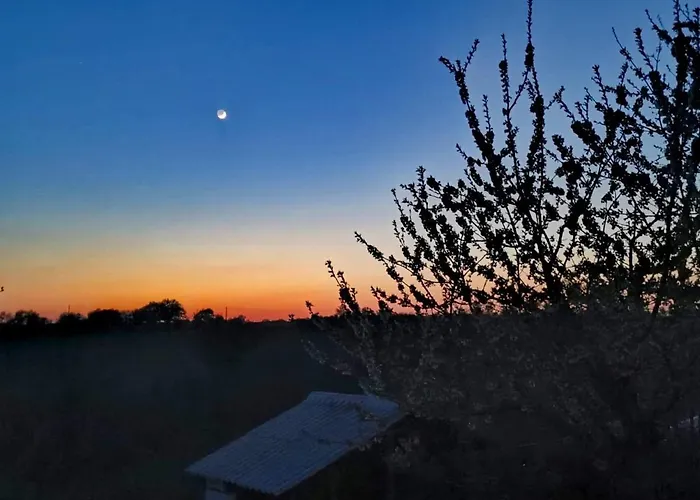 Mimosa Casa vacanze *