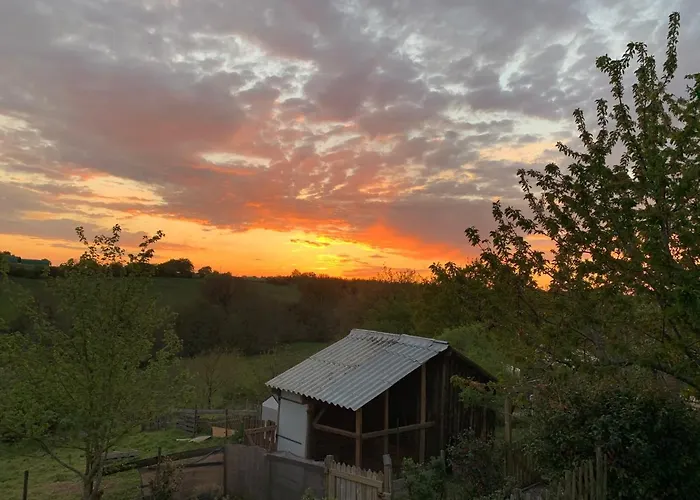 Casa vacanze Mimosa *