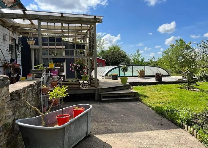 Mimosa * Saint-Florent-des-Bois