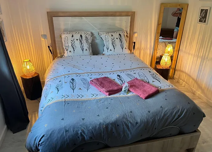 Mimosa * Saint-Florent-des-Bois